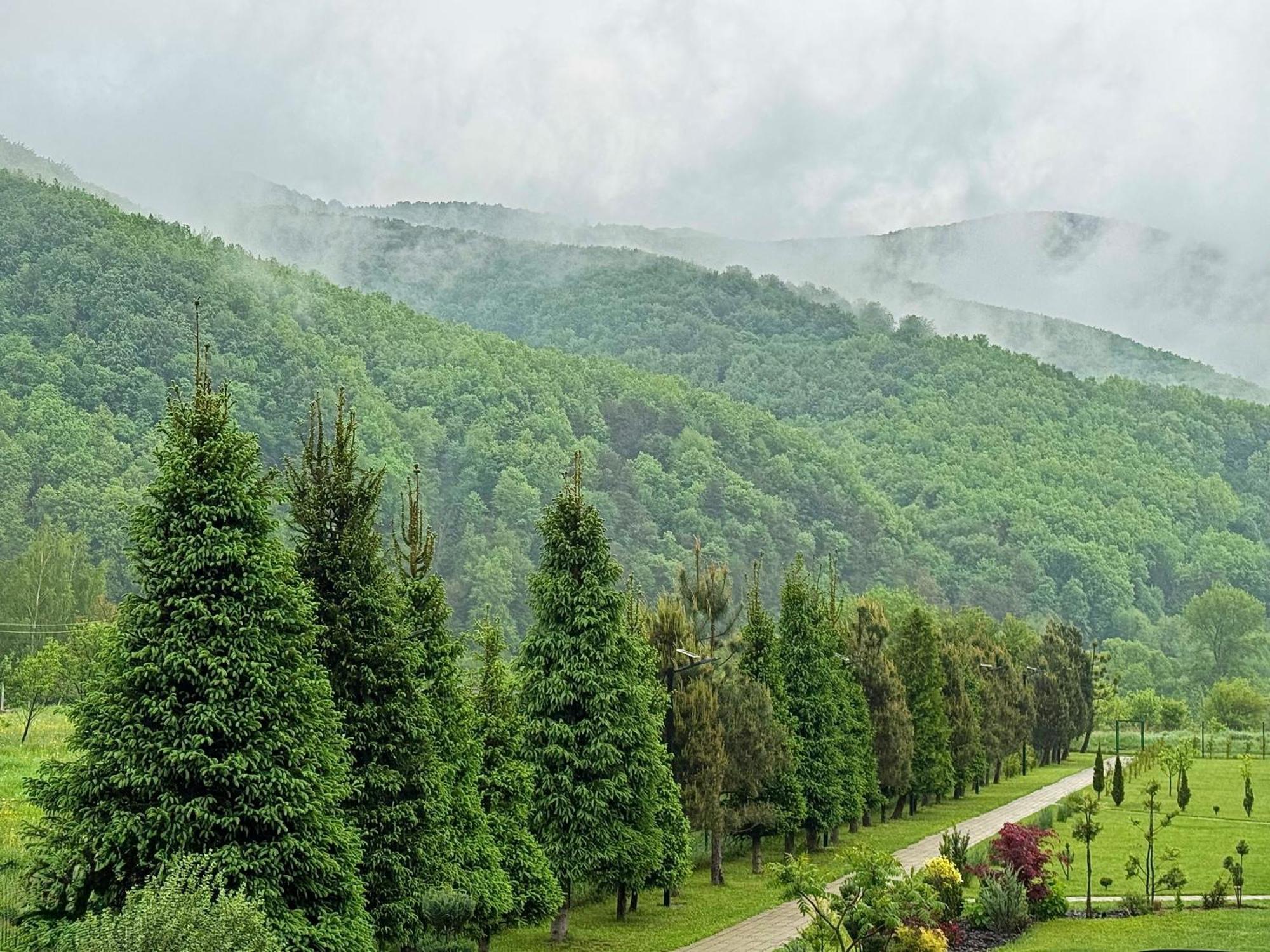 Садиба В Горах У Аліни Solotschyn Exterior foto